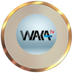 🌍 Accès à des milliers de chaînes locales & internationales; 🎥 Films, séries, sport et divertissement illimité; ⚡ Nécessite une connexion Internet stable (≥ 8 Mbps); 💻 Compatible avec Smart TV, Android Box, PC, iOS & smartphones.